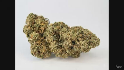 Mango: Premium Erba Flower – Tropical Sweet Aroma, Indica Relaxation Bliss