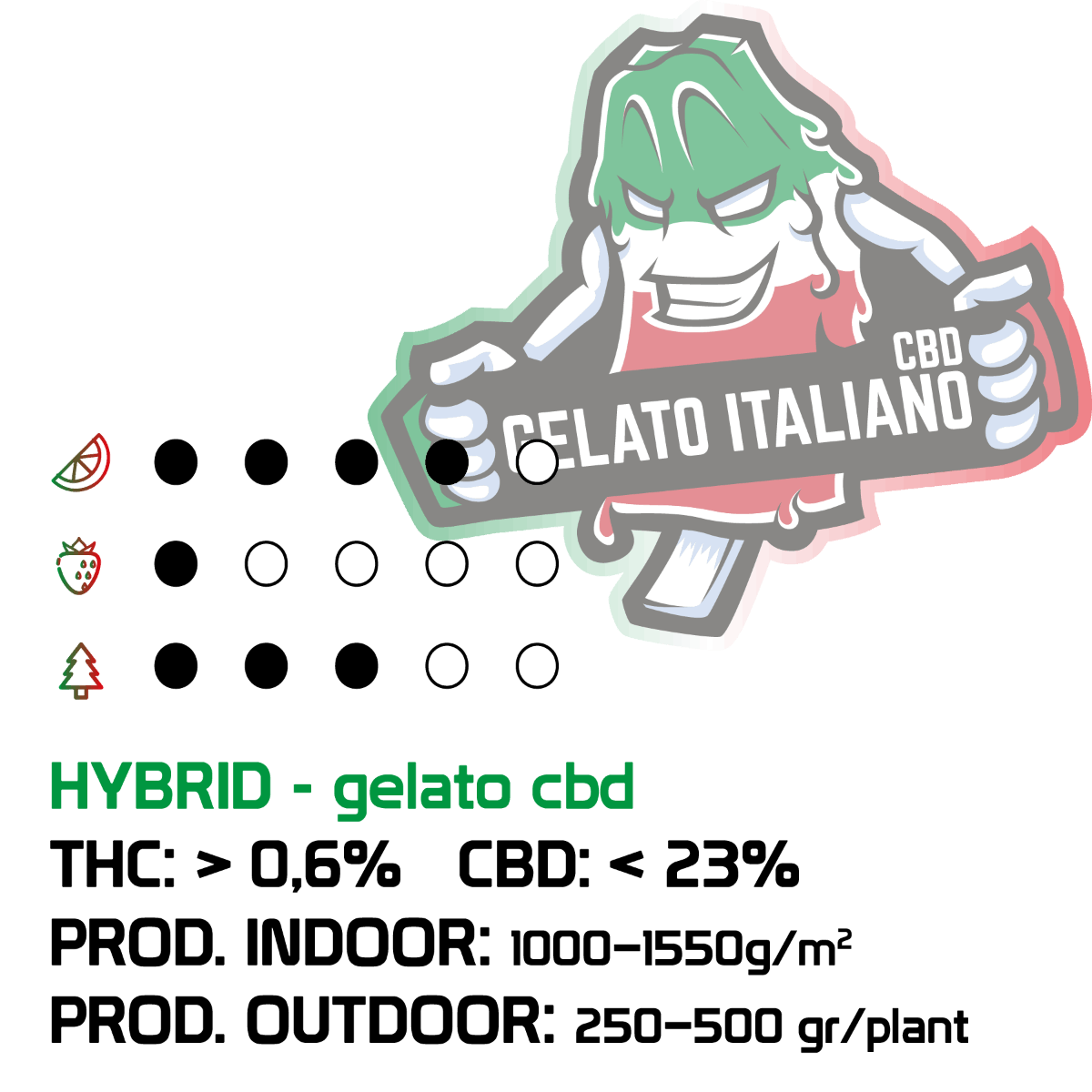 Gelato Italiano Semi Regular | THC 25% CBD 1% - mamamary