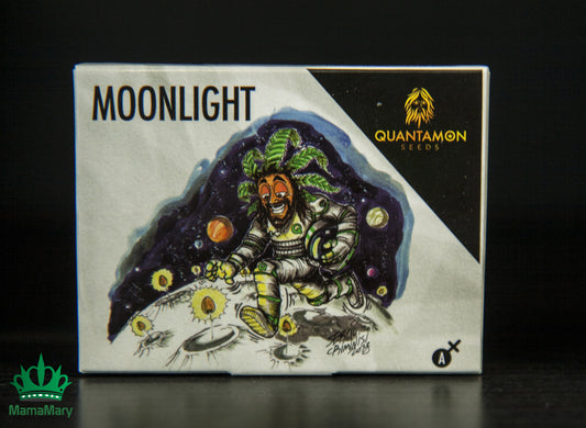 Semi Cannabis Autofiorenti da Collezione: Moonlight THC: 20.00% CBD - mamamary