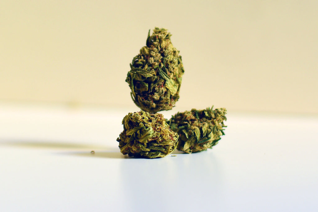 Super Skunk | CBD < 18% THC < 0,5% | - mamamary