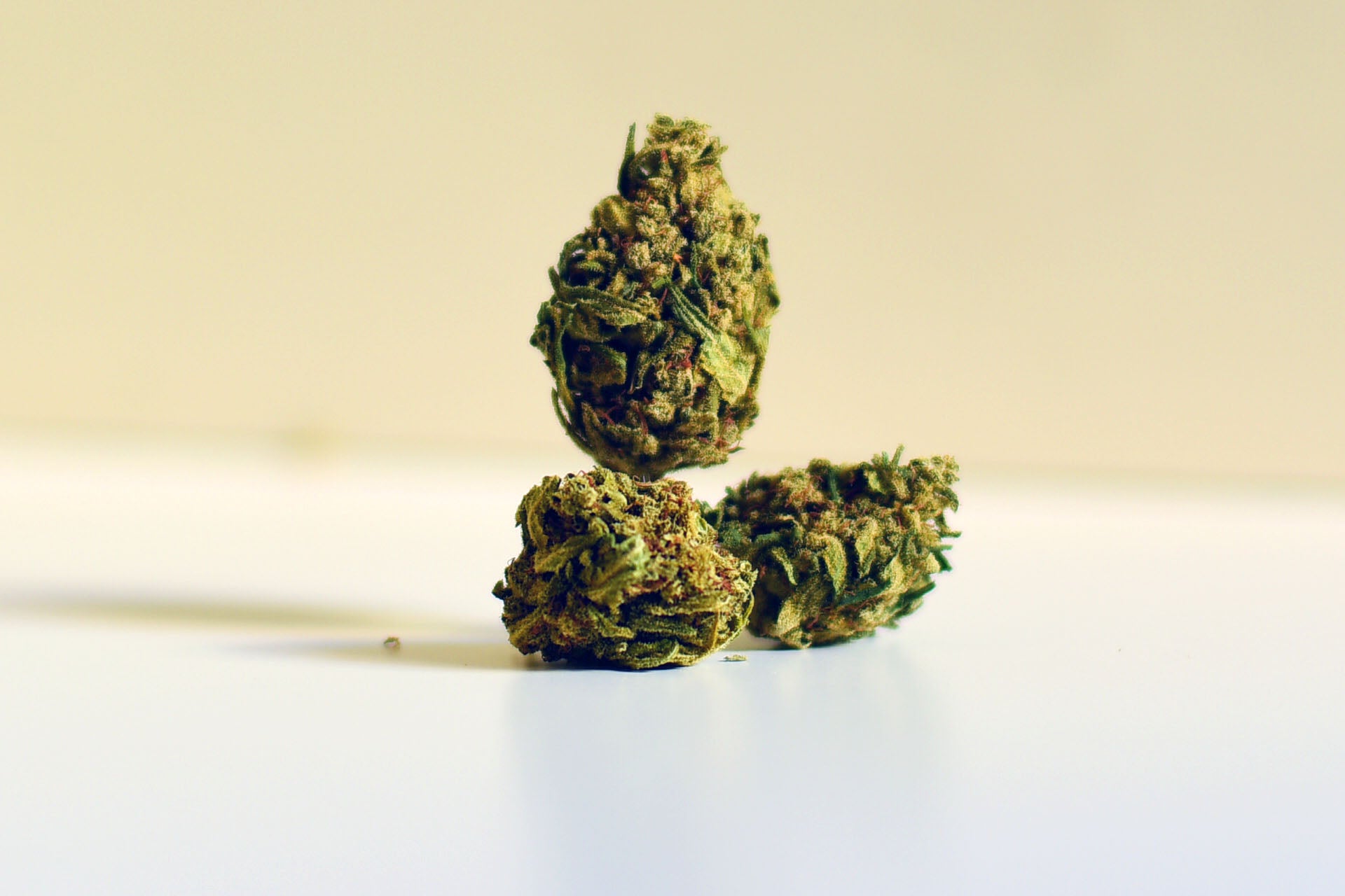 Super Skunk | CBD < 18% THC < 0,5% | - mamamary