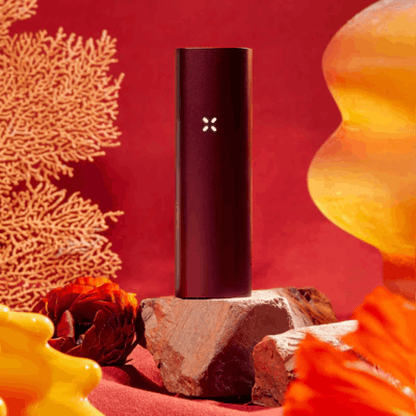 PAX 3 (DRY HERB + CONCENTRATE) - mamamary