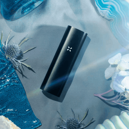 PAX 3 (DRY HERB + CONCENTRATE) - mamamary