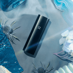 PAX 3 (DRY HERB + CONCENTRATE)