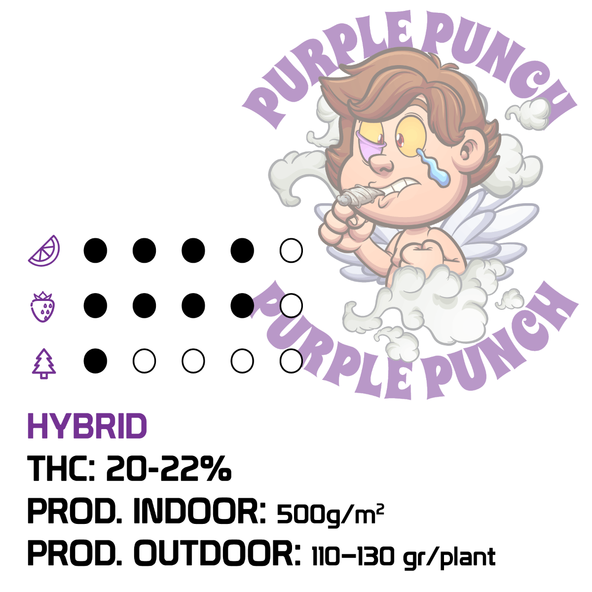 Purple Punch Semi Auto | THC 0.5% CBD 20% - mamamary
