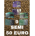 COMBO SEEDS PACK 🌱 - mamamary