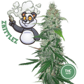Zkittlez Semi Auto | CBD 20% THC < 0.6% - mamamary