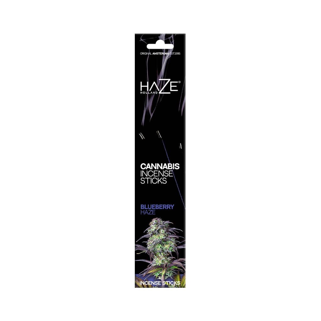 Box of blueberry haze cannabis scented incense sticks