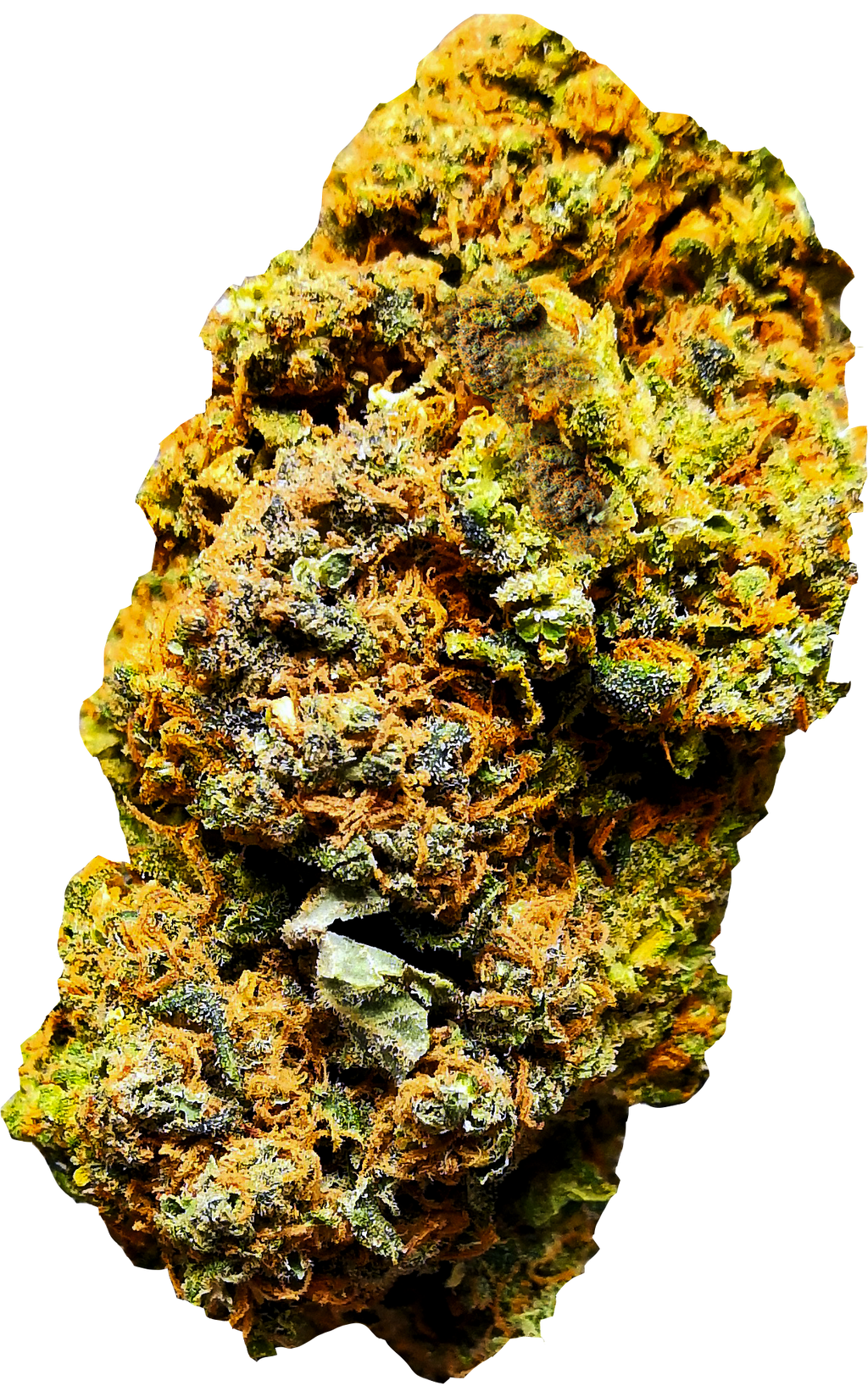 Lit Weed | CBD < 20% | JESSE THE MAESTRO - mamamary