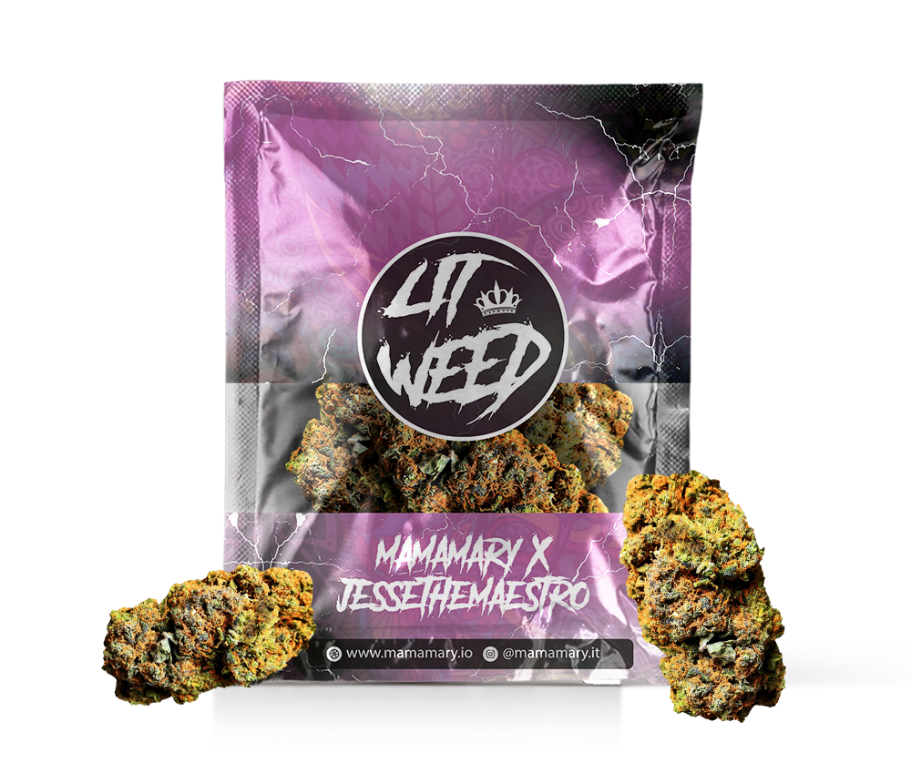Lit Weed | CBD < 20% | JESSE THE MAESTRO- mamamary